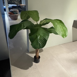 Kunstplant Colours&Green, Royal Banana Tree